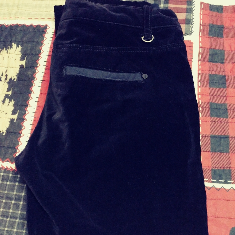 NWOT Velvet pants - Picture 1 of 6
